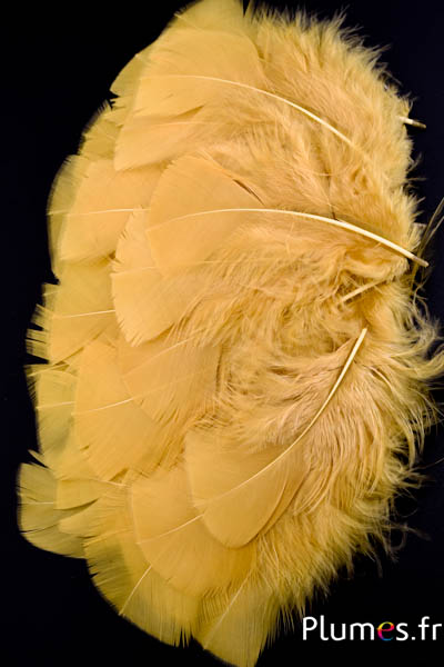Dinde - 6-8 cm - sable-curry